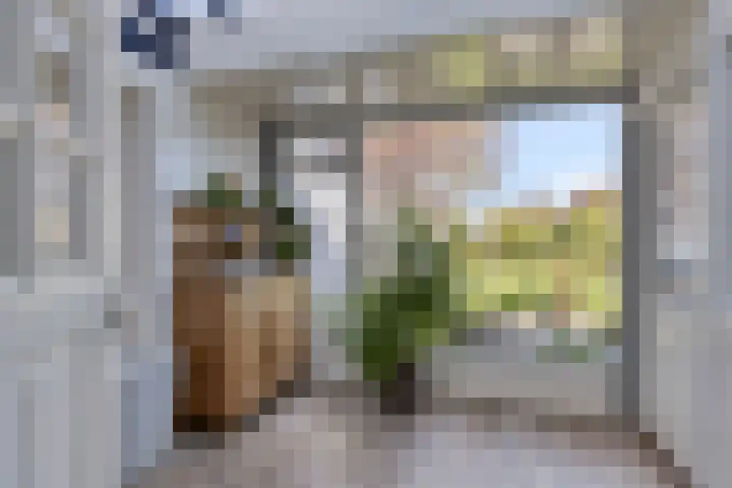 Oude Rijksweg 35 Nieuw- en Sint Joosland thumbnail 25