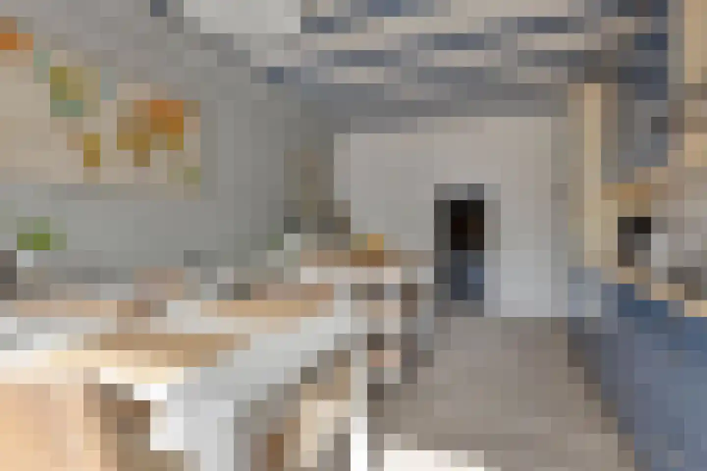 Oude Rijksweg 35 Nieuw- en Sint Joosland thumbnail 29