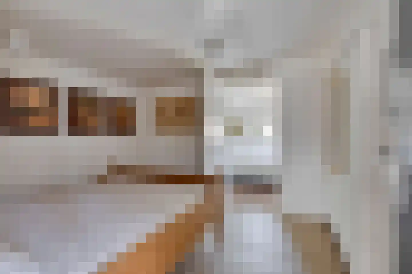 Oude Rijksweg 35 Nieuw- en Sint Joosland thumbnail 32