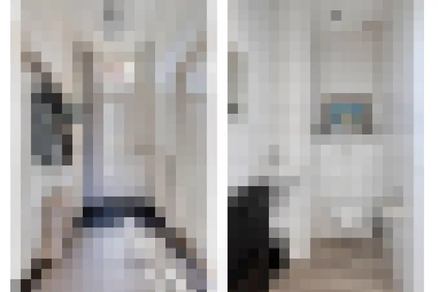 Oude Rijksweg 35 Nieuw- en Sint Joosland thumbnail 4