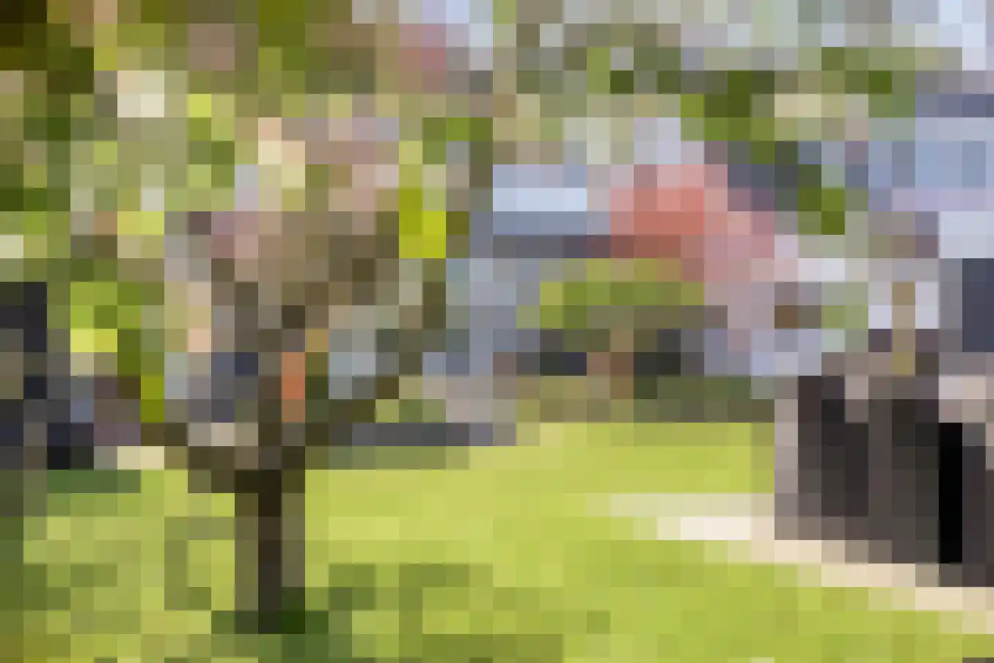 Oude Rijksweg 35 Nieuw- en Sint Joosland thumbnail 45