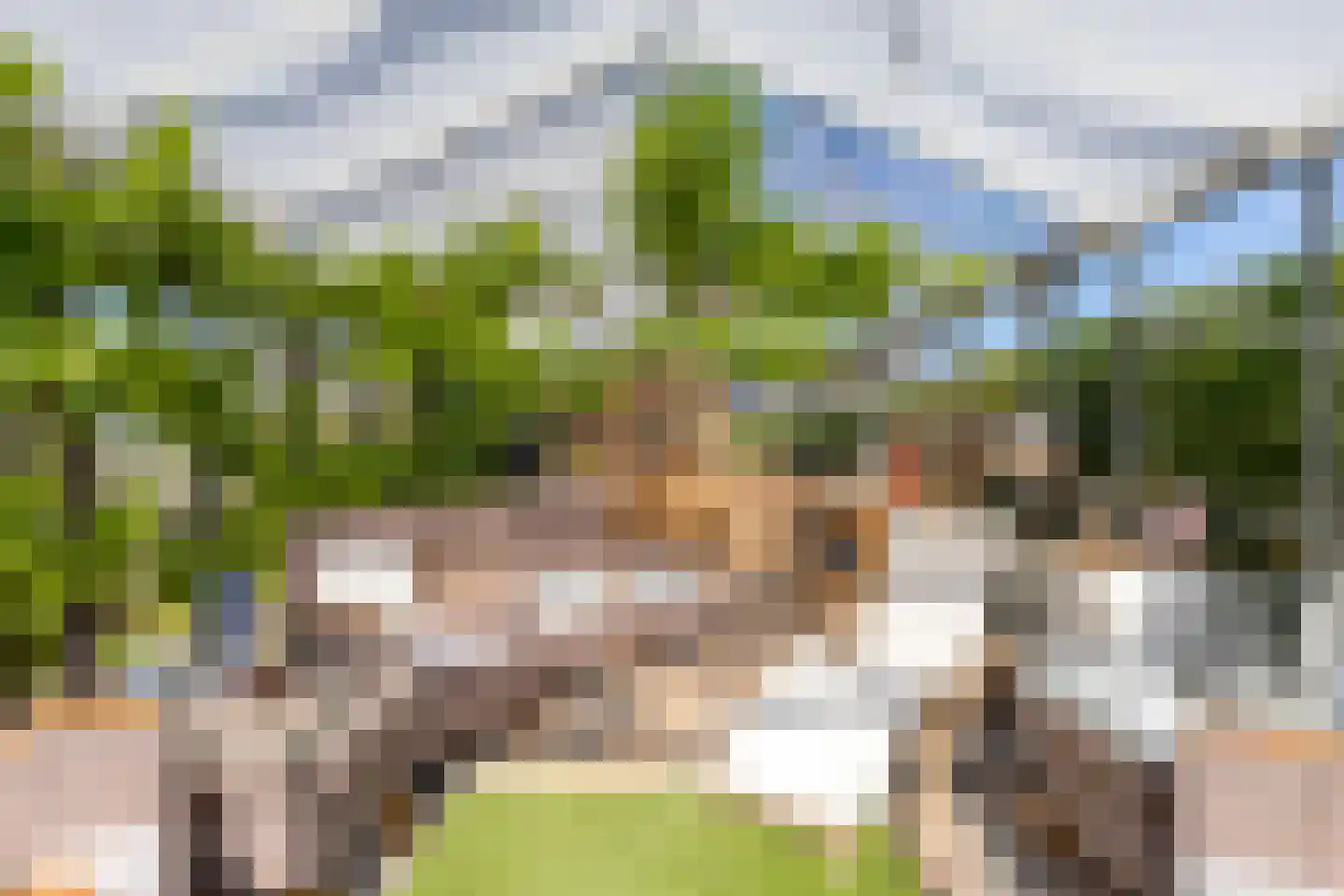 Oude Rijksweg 35 Nieuw- en Sint Joosland thumbnail 51