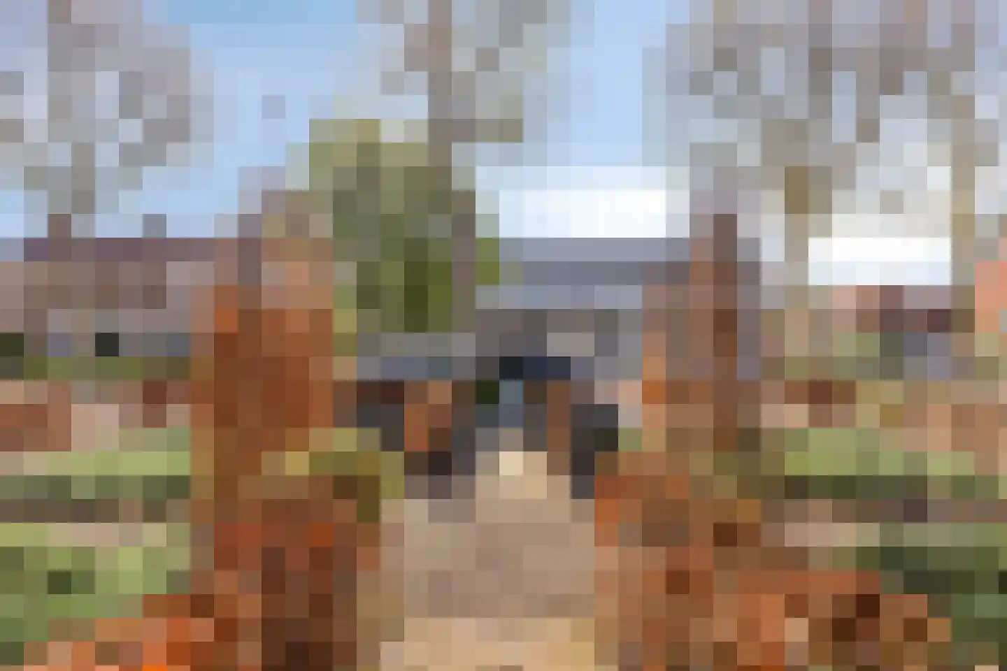 Oude Rijksweg 35 Nieuw- en Sint Joosland thumbnail 67