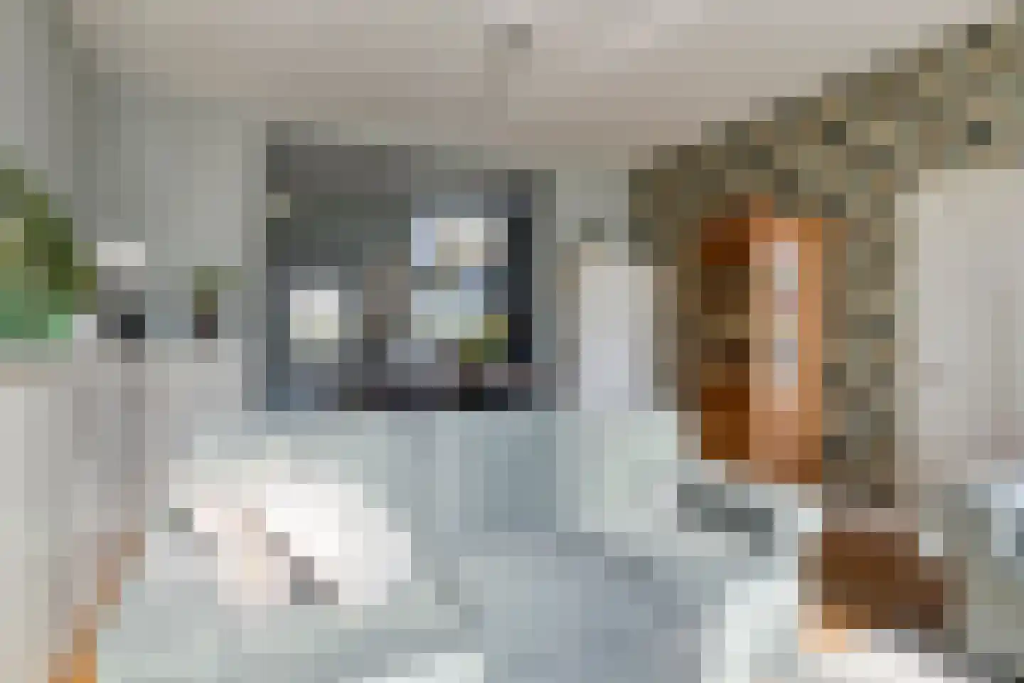 Oude Rijksweg 35 Nieuw- en Sint Joosland thumbnail 7