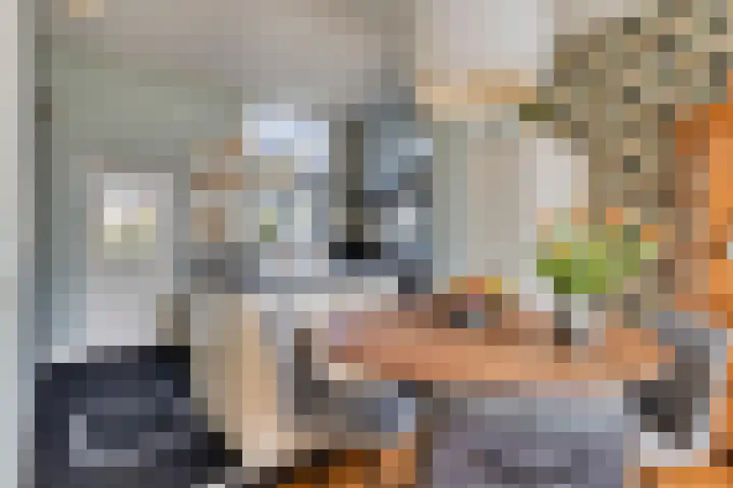 Oude Rijksweg 35 Nieuw- en Sint Joosland thumbnail 9