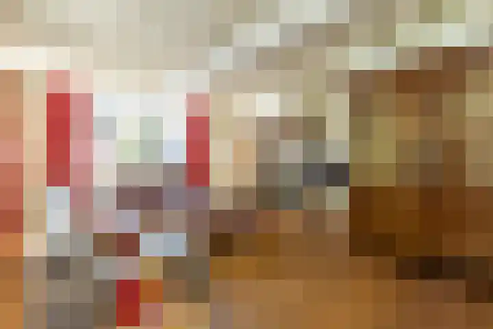 Oude Rijksweg 36 Helvoirt thumbnail 10