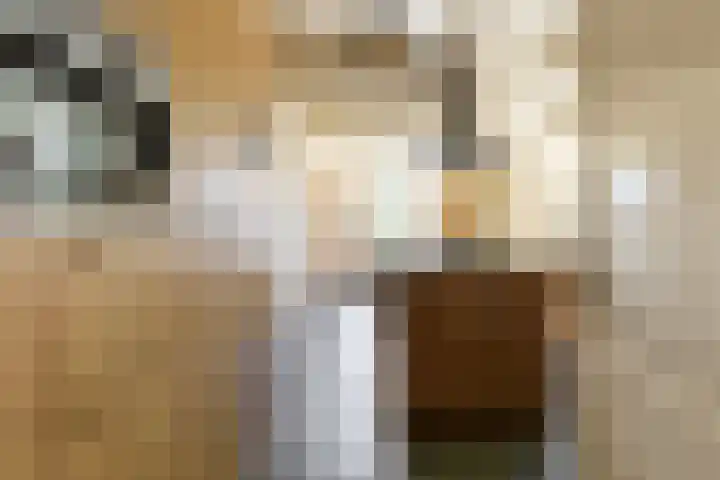 Oude Rijksweg 36 Helvoirt thumbnail 11