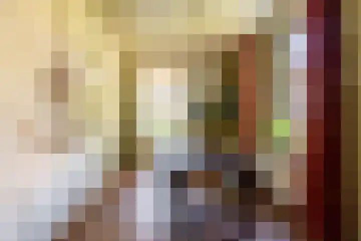 Oude Rijksweg 36 Helvoirt thumbnail 17