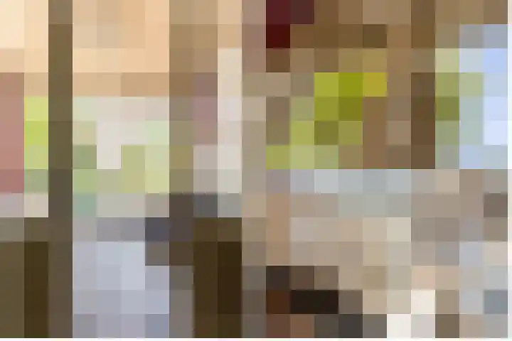 Oude Rijksweg 36 Helvoirt thumbnail 19