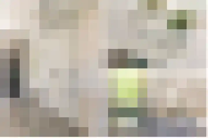 Oude Rijksweg 36 Helvoirt thumbnail 27