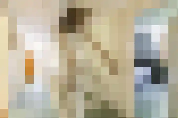Oude Rijksweg 36 Helvoirt thumbnail 35
