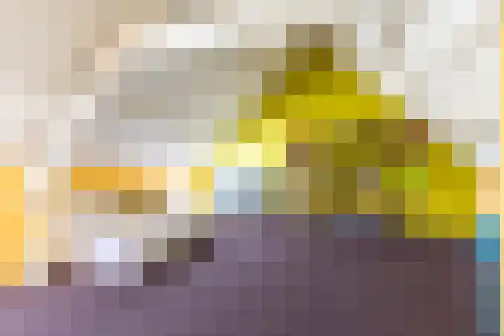Oude Rijksweg 36 Helvoirt thumbnail 37