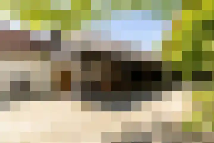 Oude Rijksweg 36 Helvoirt thumbnail 45