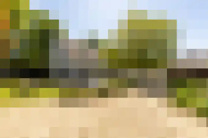 Oude Rijksweg 36 Helvoirt thumbnail 49