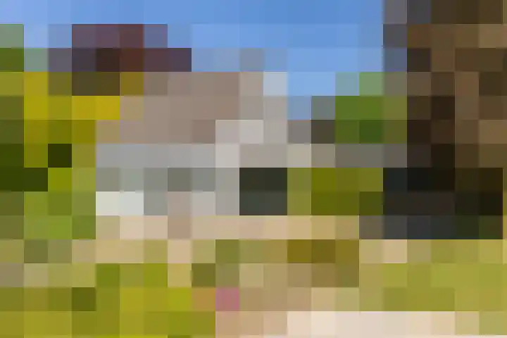 Oude Rijksweg 36 Helvoirt thumbnail 50