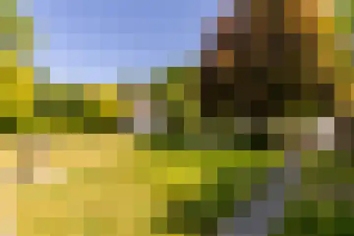 Oude Rijksweg 36 Helvoirt thumbnail 51