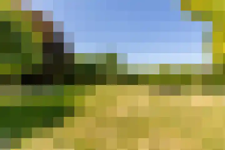 Oude Rijksweg 36 Helvoirt thumbnail 52