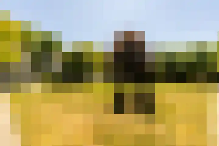 Oude Rijksweg 36 Helvoirt thumbnail 53