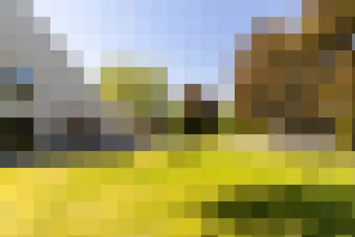 Oude Rijksweg 36 Helvoirt thumbnail 54