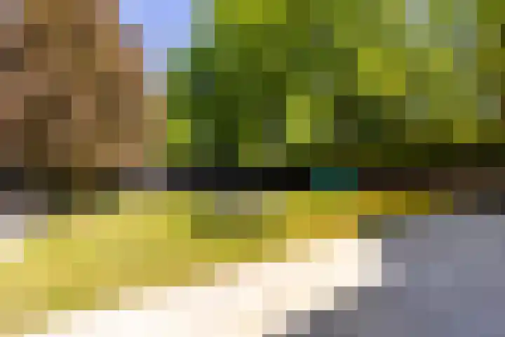 Oude Rijksweg 36 Helvoirt thumbnail 55
