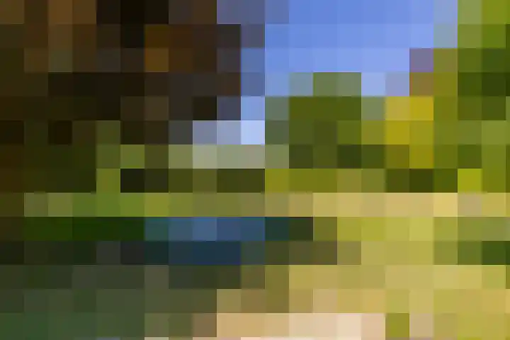 Oude Rijksweg 36 Helvoirt thumbnail 56