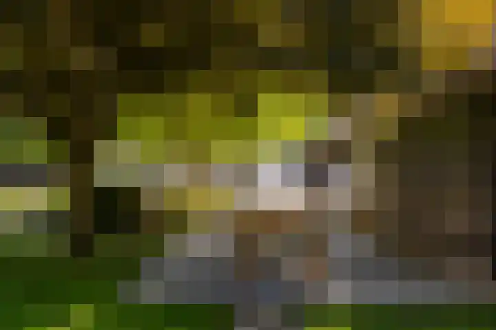 Oude Rijksweg 36 Helvoirt thumbnail 57