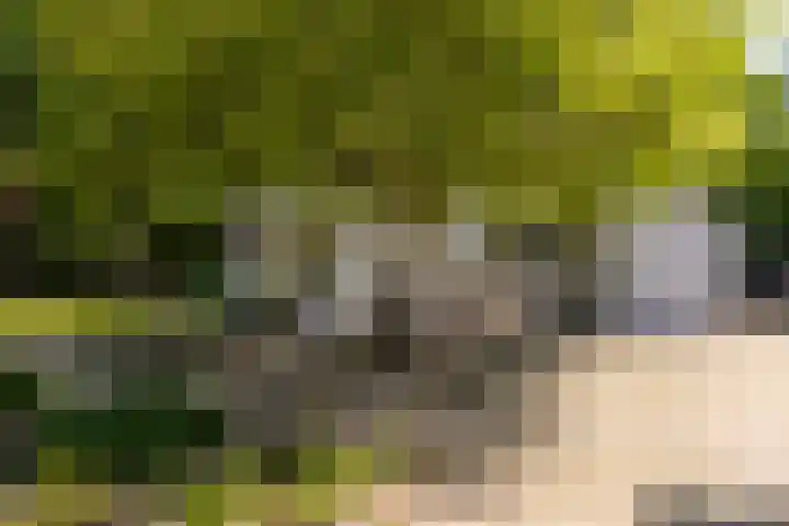 Oude Rijksweg 36 Helvoirt thumbnail 58