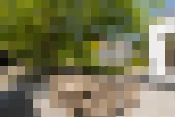 Oude Rijksweg 36 Helvoirt thumbnail 59