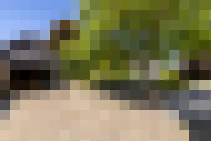 Oude Rijksweg 36 Helvoirt thumbnail 62