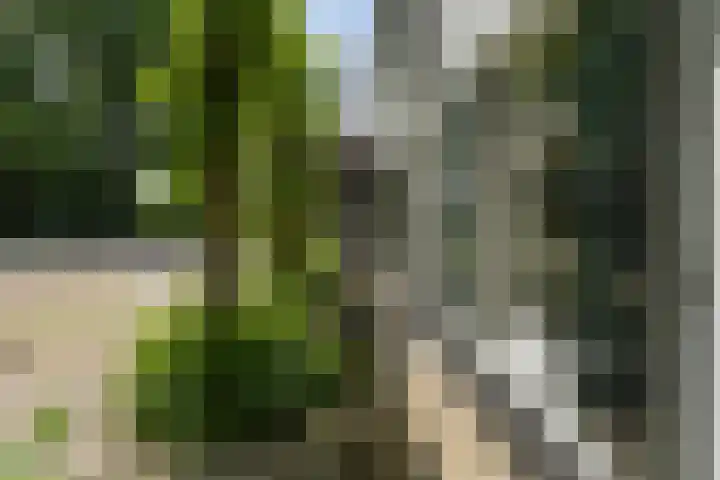 Oude Rijksweg 36 Helvoirt thumbnail 64