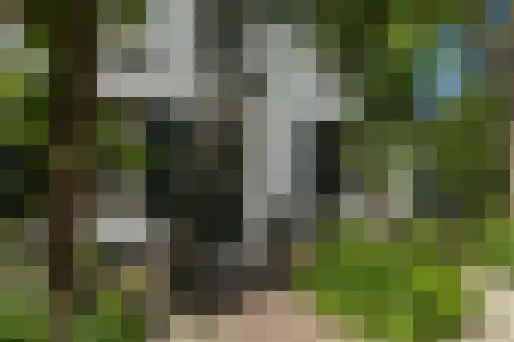 Oude Rijksweg 36 Helvoirt thumbnail 65