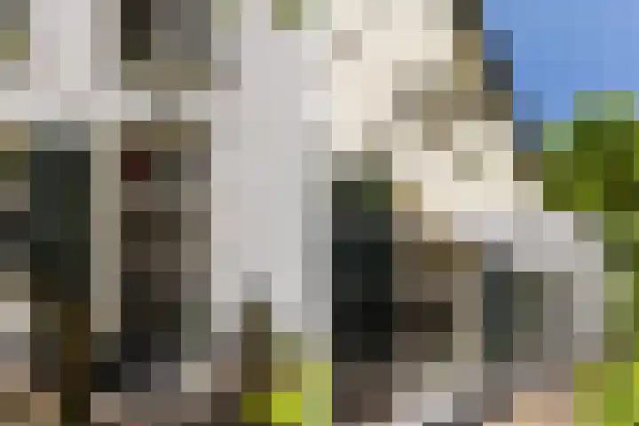 Oude Rijksweg 36 Helvoirt thumbnail 7
