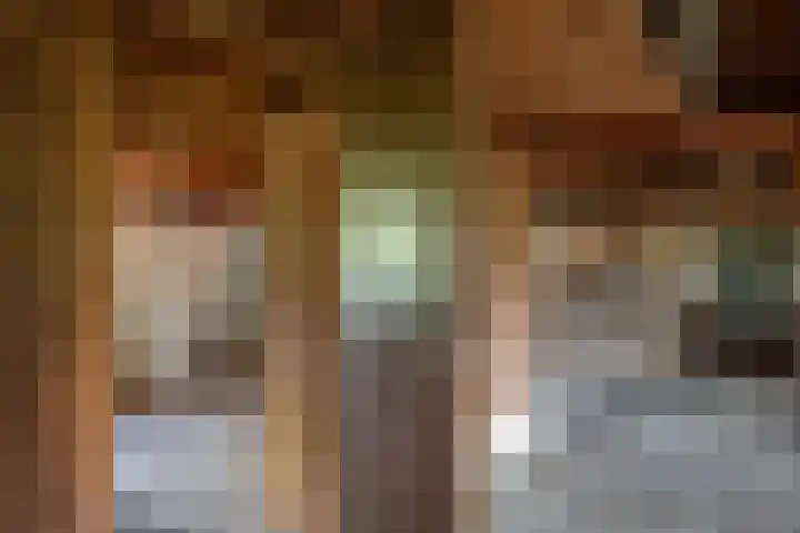 Oude Rijksweg 398 Rouveen thumbnail 13