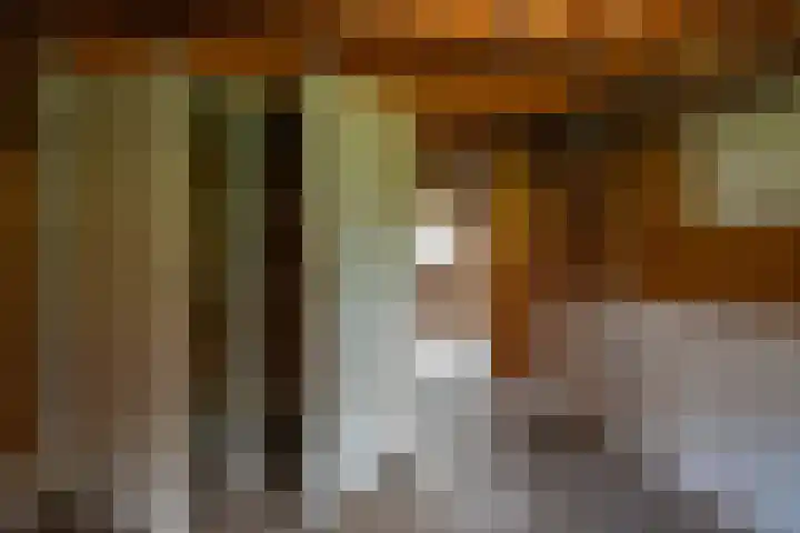 Oude Rijksweg 398 Rouveen thumbnail 15