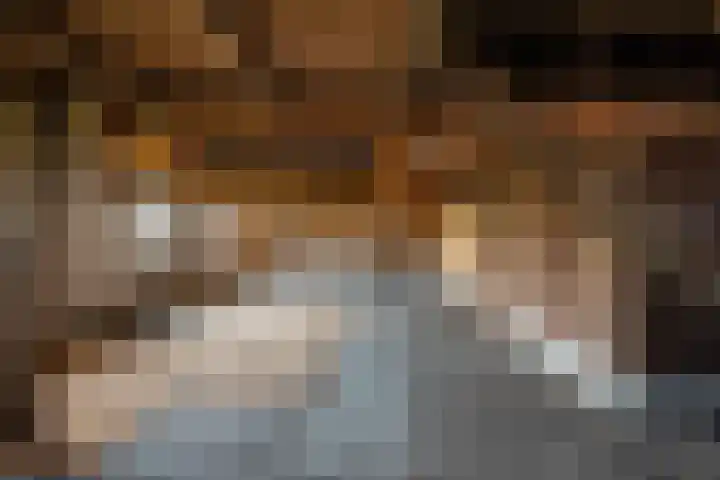 Oude Rijksweg 398 Rouveen thumbnail 17