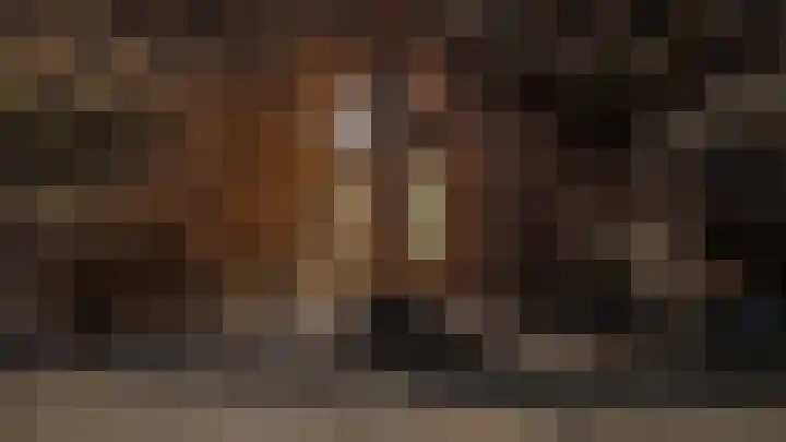 Oude Rijksweg 398 Rouveen thumbnail 18