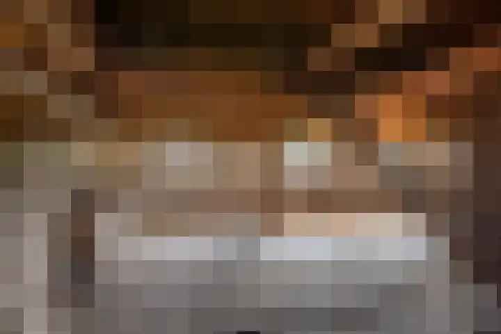 Oude Rijksweg 398 Rouveen thumbnail 19