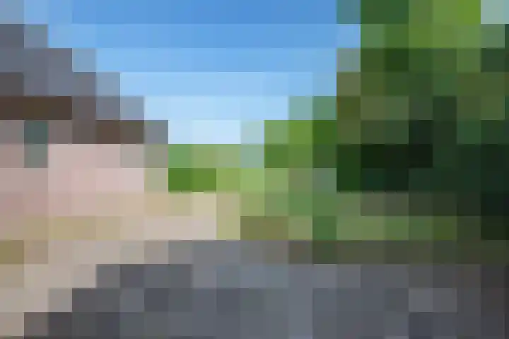 Oude Rijksweg 398 Rouveen thumbnail 24