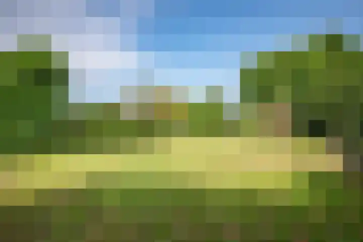 Oude Rijksweg 398 Rouveen thumbnail 25
