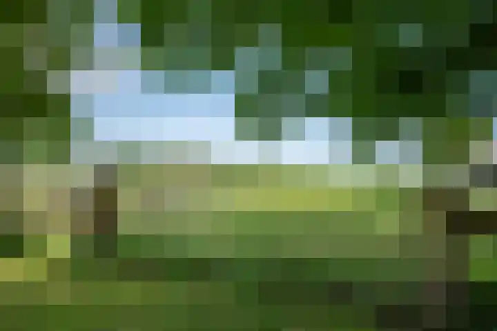 Oude Rijksweg 398 Rouveen thumbnail 26