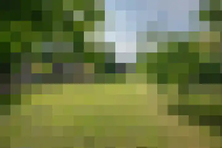Oude Rijksweg 398 Rouveen thumbnail 27