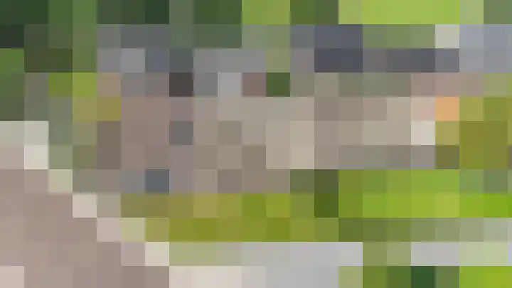 Oude Rijksweg 398 Rouveen thumbnail 30