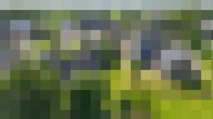 Oude Rijksweg 398 Rouveen thumbnail 31