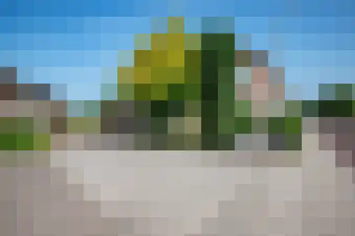 Oude Rijksweg 398 Rouveen thumbnail 6