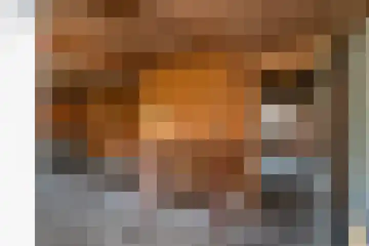 Oude Rijksweg 398 Rouveen thumbnail 8