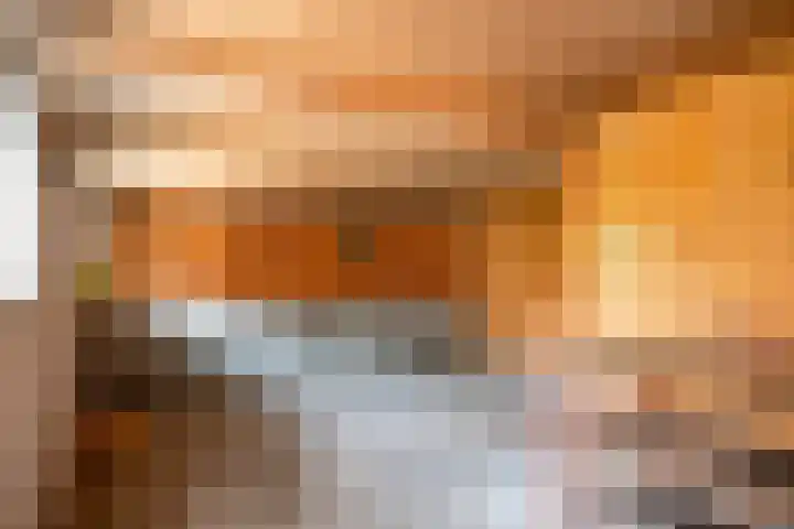 Oude Rijksweg 398 Rouveen thumbnail 9