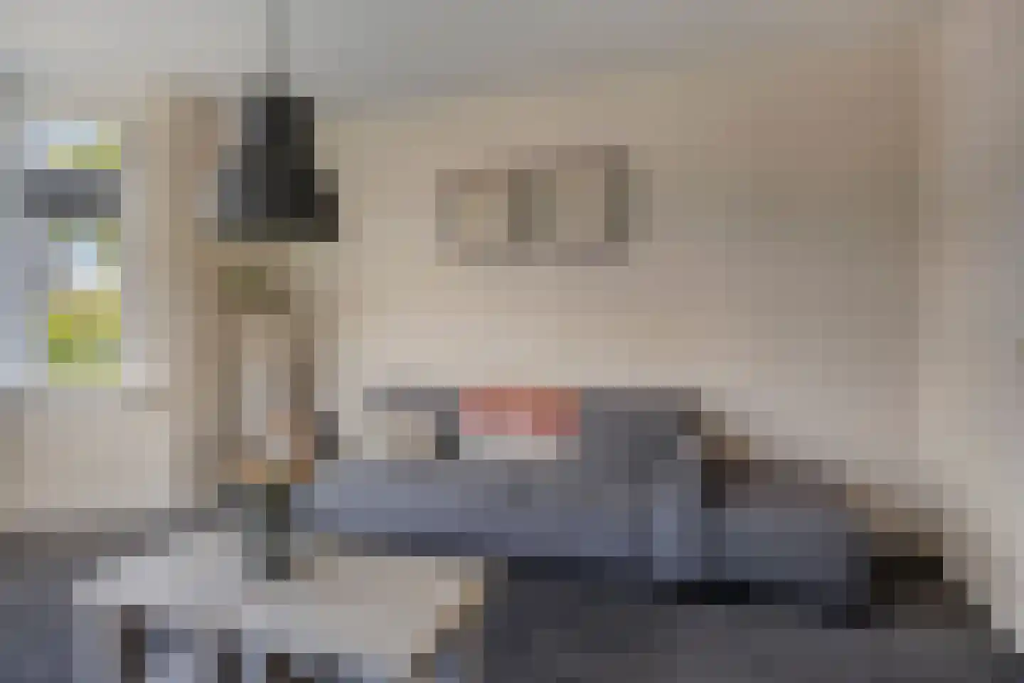 Oude Rijksweg 423 Rouveen thumbnail 11