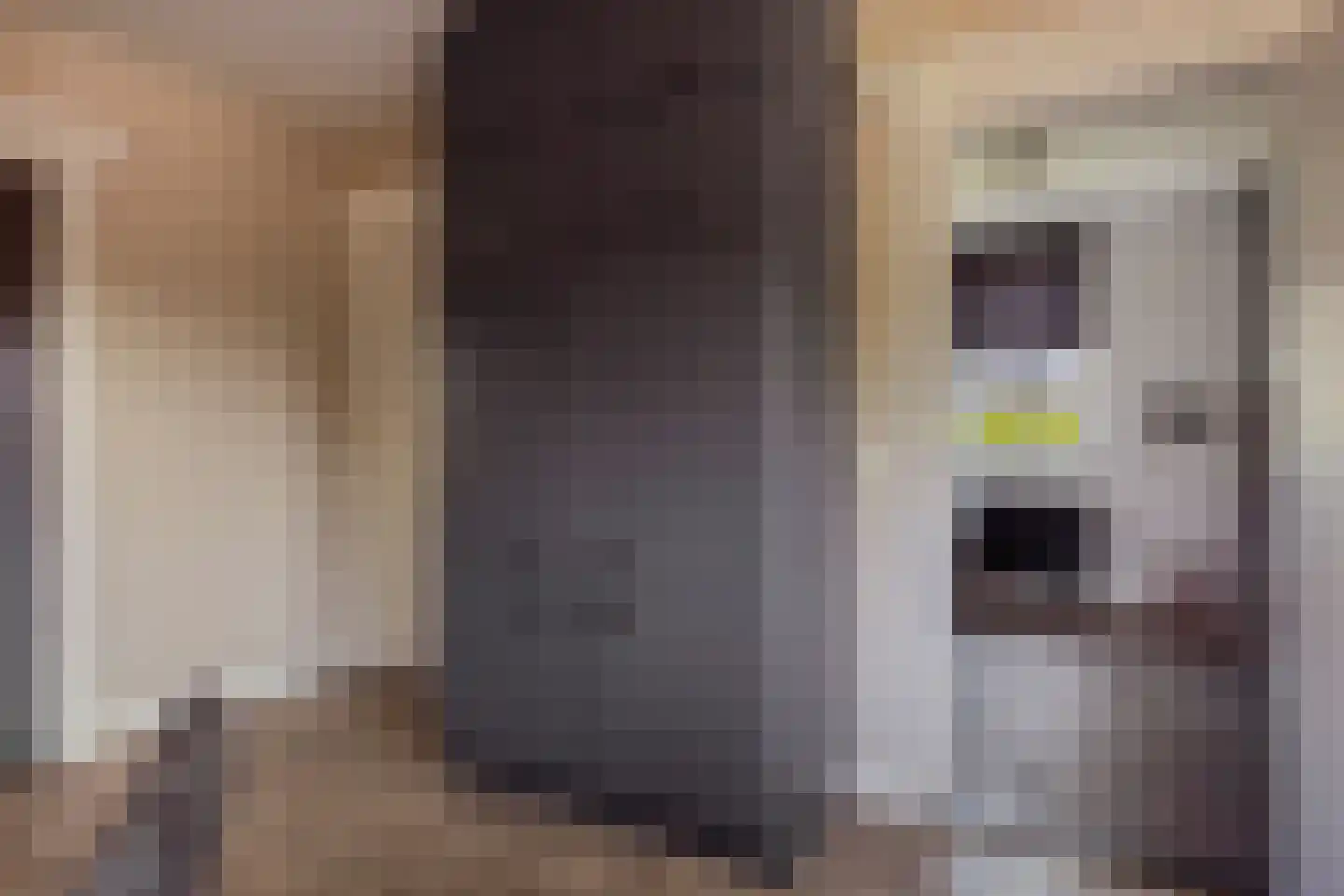 Oude Rijksweg 423 Rouveen thumbnail 20