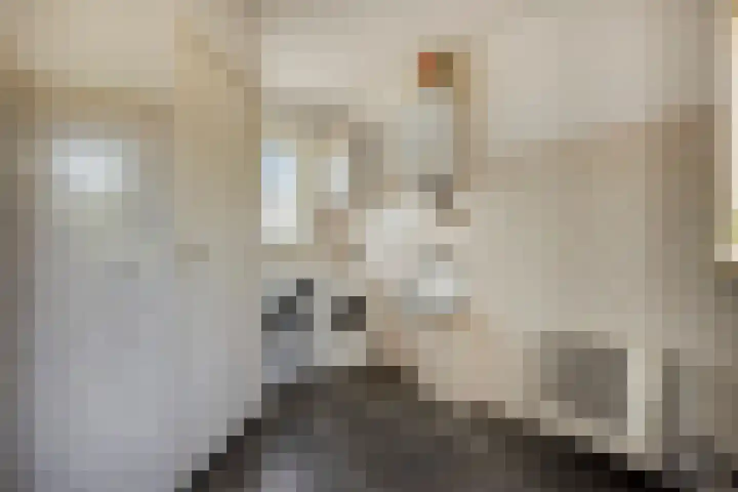 Oude Rijksweg 423 Rouveen thumbnail 24