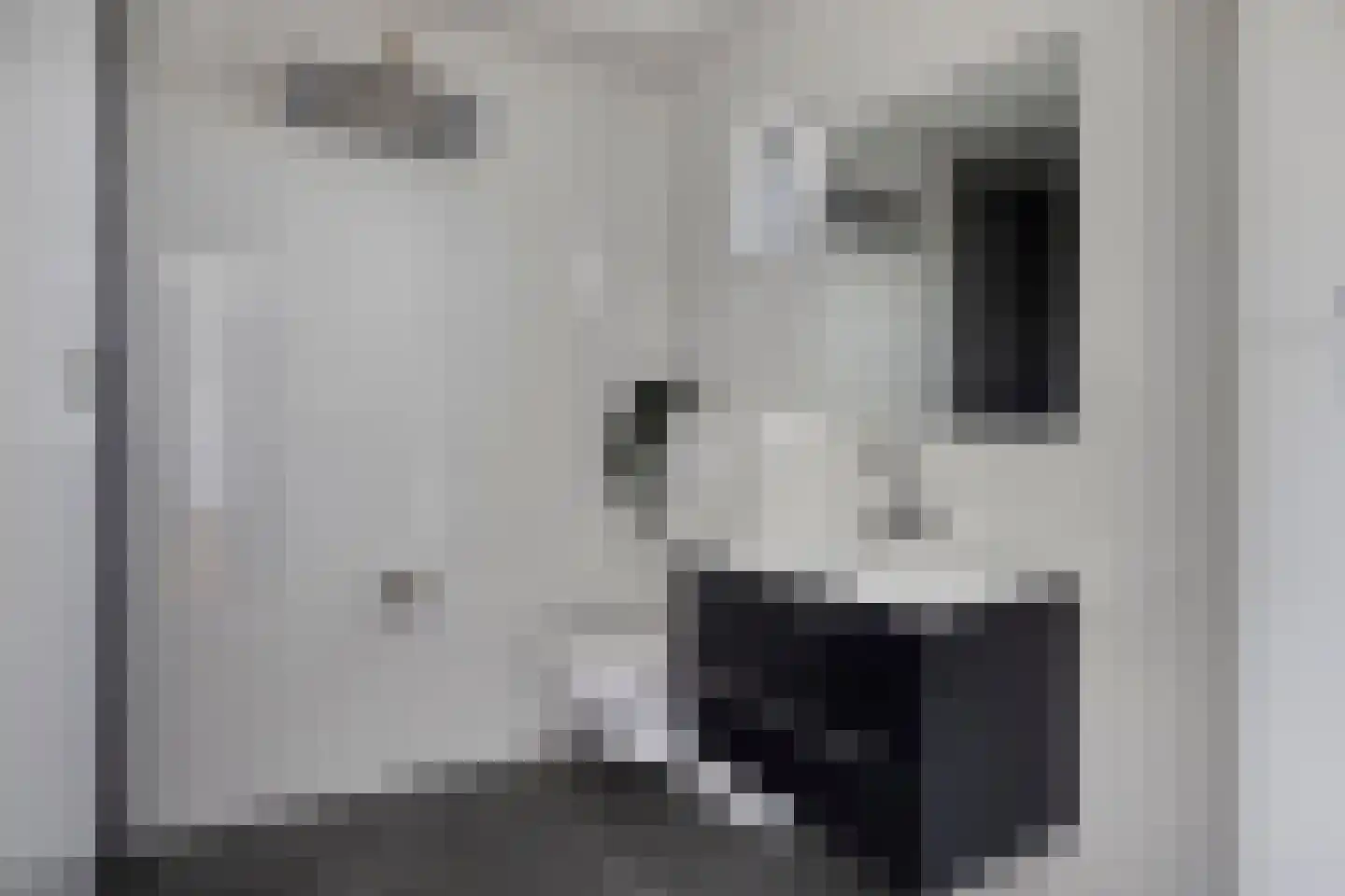 Oude Rijksweg 423 Rouveen thumbnail 26
